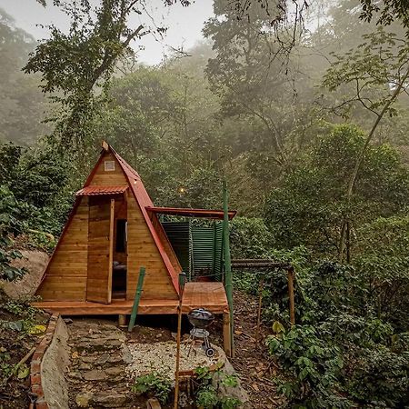 ホテル Eco Cabin - Tanoa ミンカ エクステリア 写真