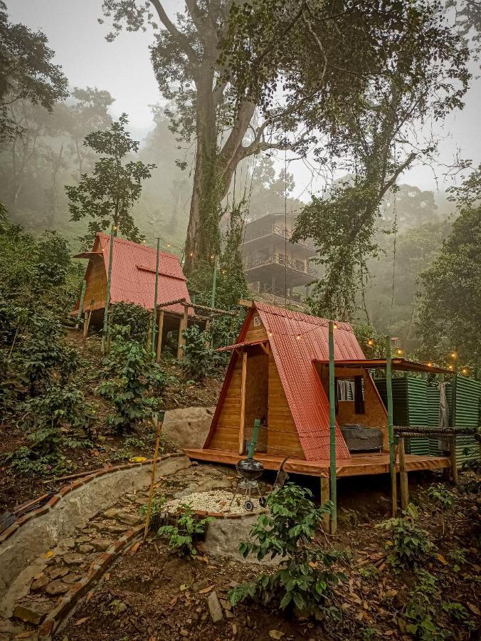ホテル Eco Cabin - Tanoa ミンカ エクステリア 写真